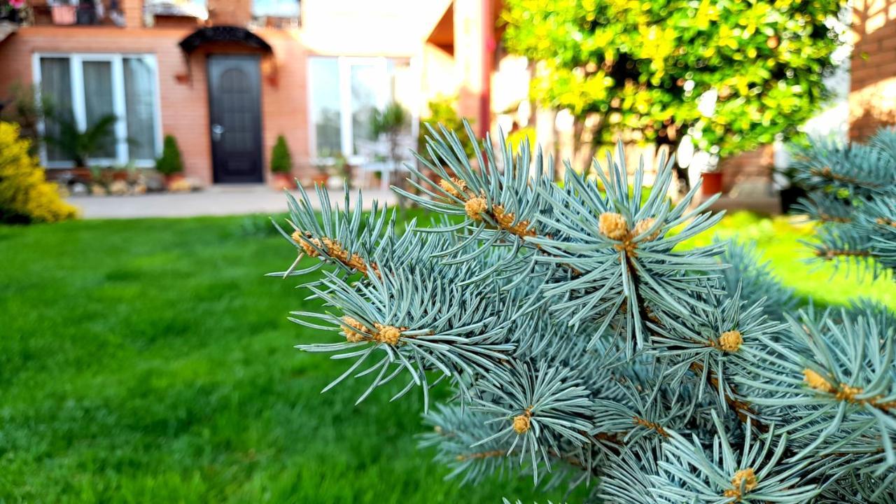 Green Garden Tbilisi Esterno foto
