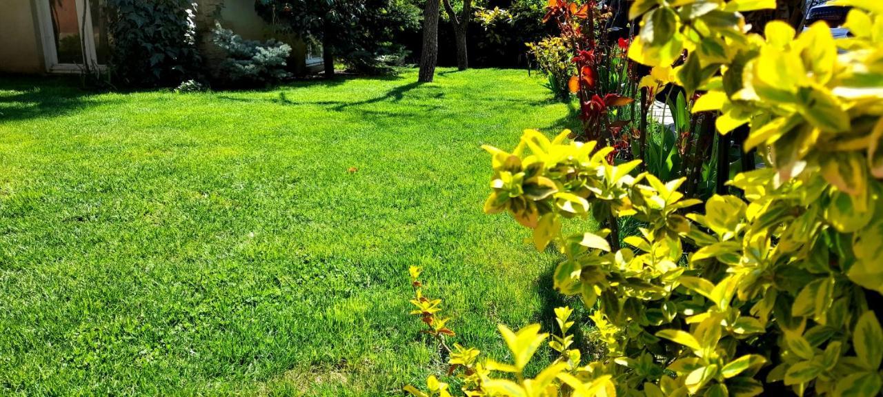 Green Garden Tbilisi Esterno foto